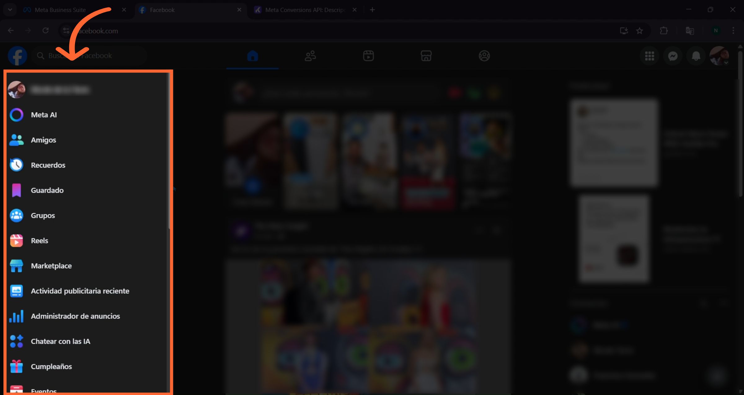 Acceso a la sección de páginas