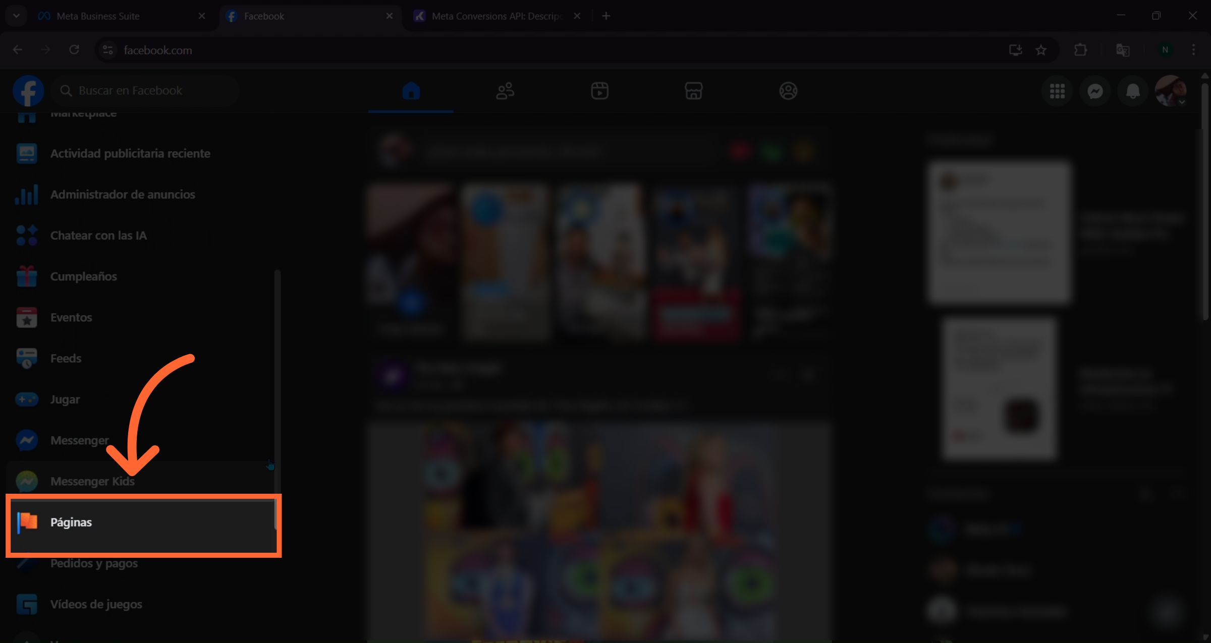 Acceso a la sección de páginas