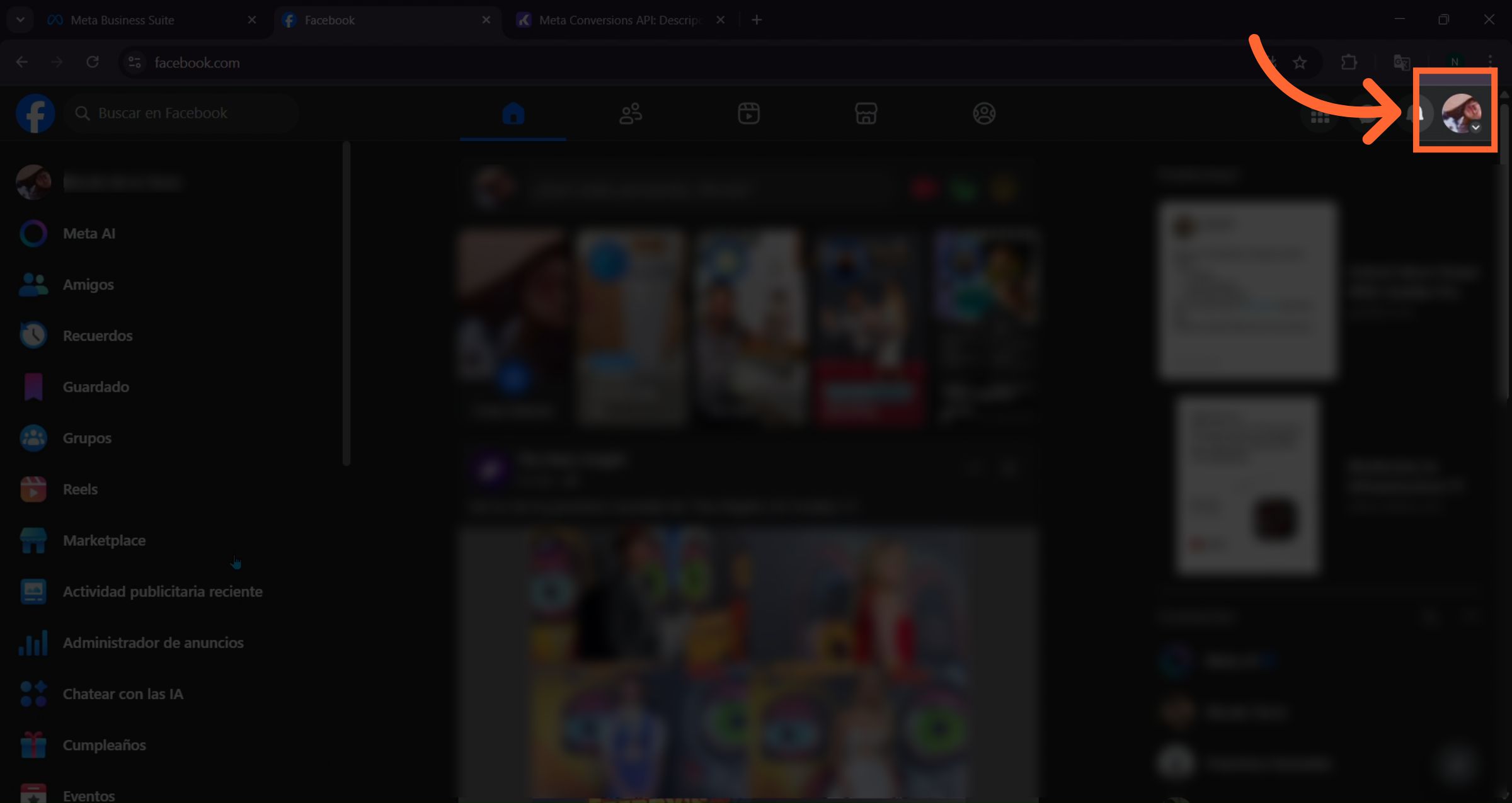 Acceso a la sección de páginas
